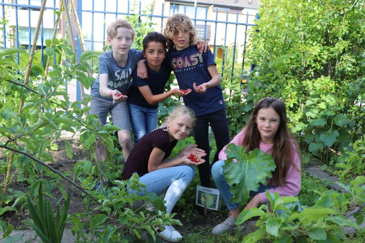 ontdekken